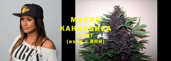 прущий лед Новозыбков