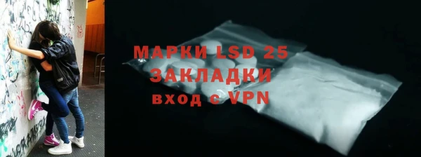прущий лед Новозыбков
