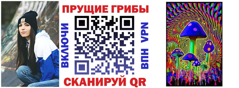 MEGA вход  Шацк  Галлюциногенные грибы ЛСД 