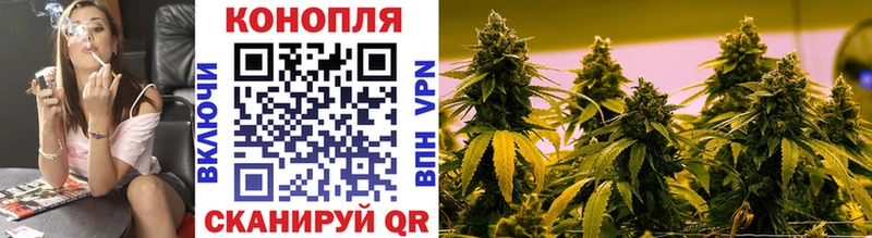 Канабис OG Kush цены наркотик Шацк
